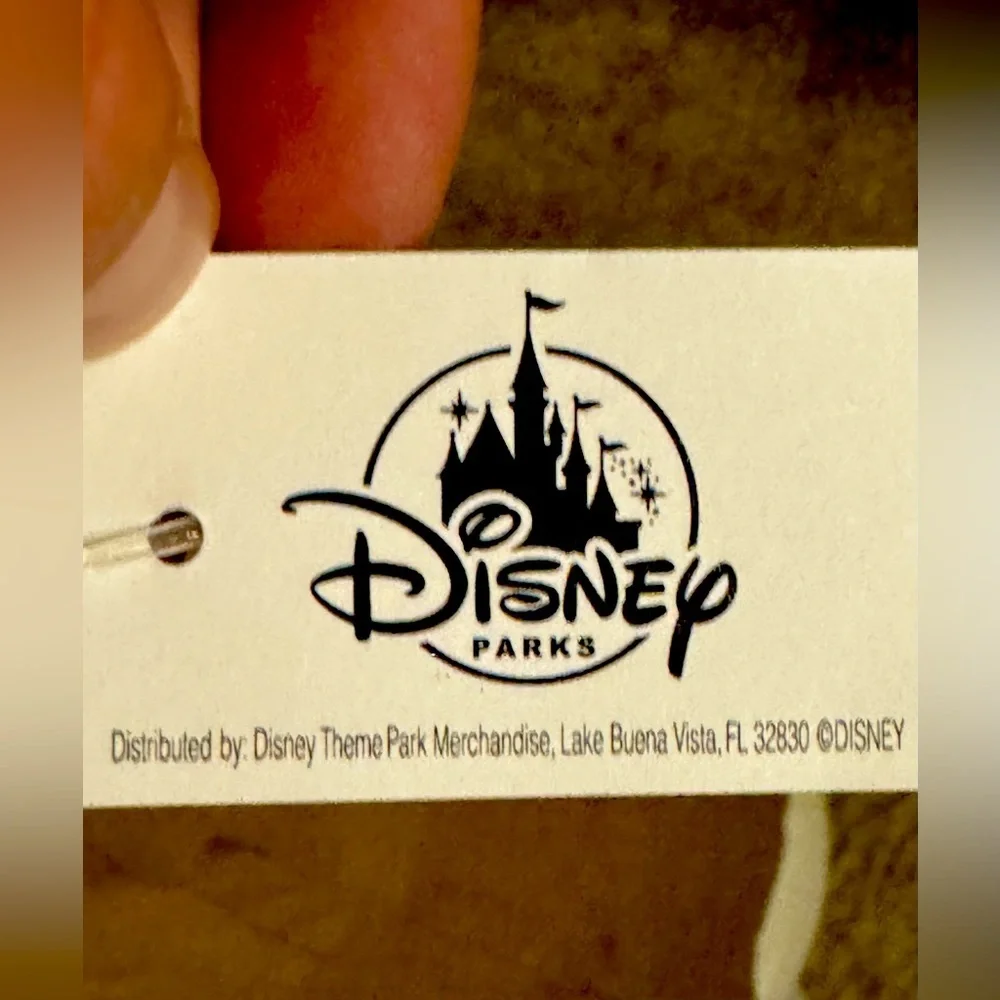 Disney mickey mouse